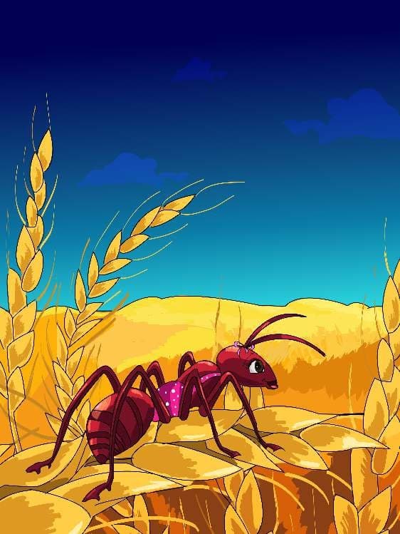 Cover of The Risks of Umm Mazen